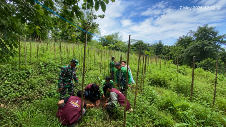 Suasana penanaman pohon (sumber foto: hariankalsel.com)
