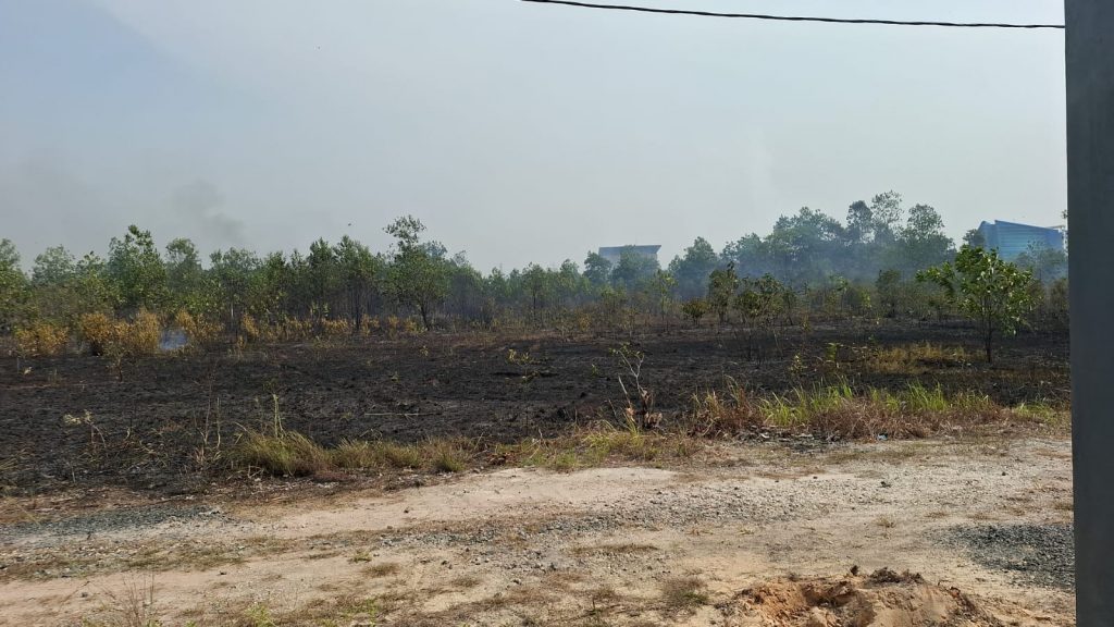 Lahan yang berhasil dipadamkan (Foto:Istimewa)