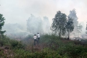 Proses pemadaman yang menyisakan asap (Foto:Dok Bagian Umum) Proses pemadaman yang menyisakan asap (Foto:Dok Bagian Umum)
