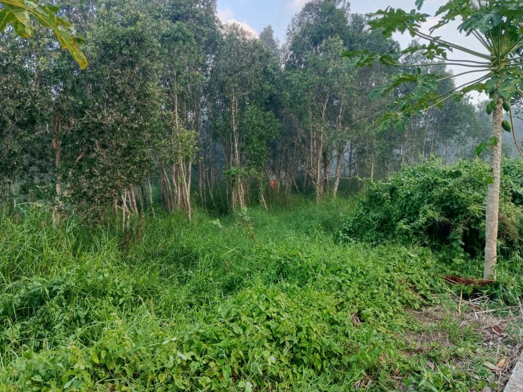 Titik api terpantau di kejauhan (Foto:Dok Bagian Umum)